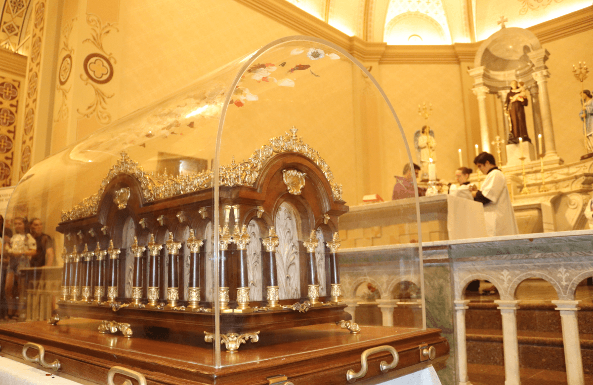 Foto de capa da notícia Com grande público, Missa da Juventude é celebrada em Bento, diante das relíquias de Santa Teresinha